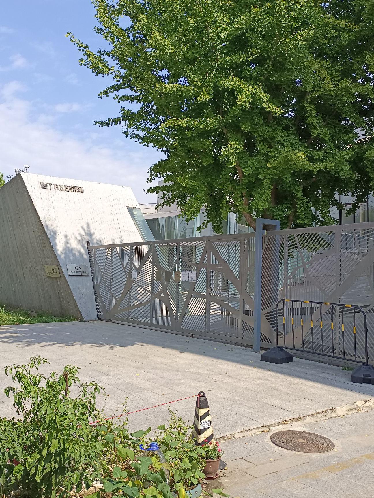 艺术百科丨树美术馆Tree Art Museum