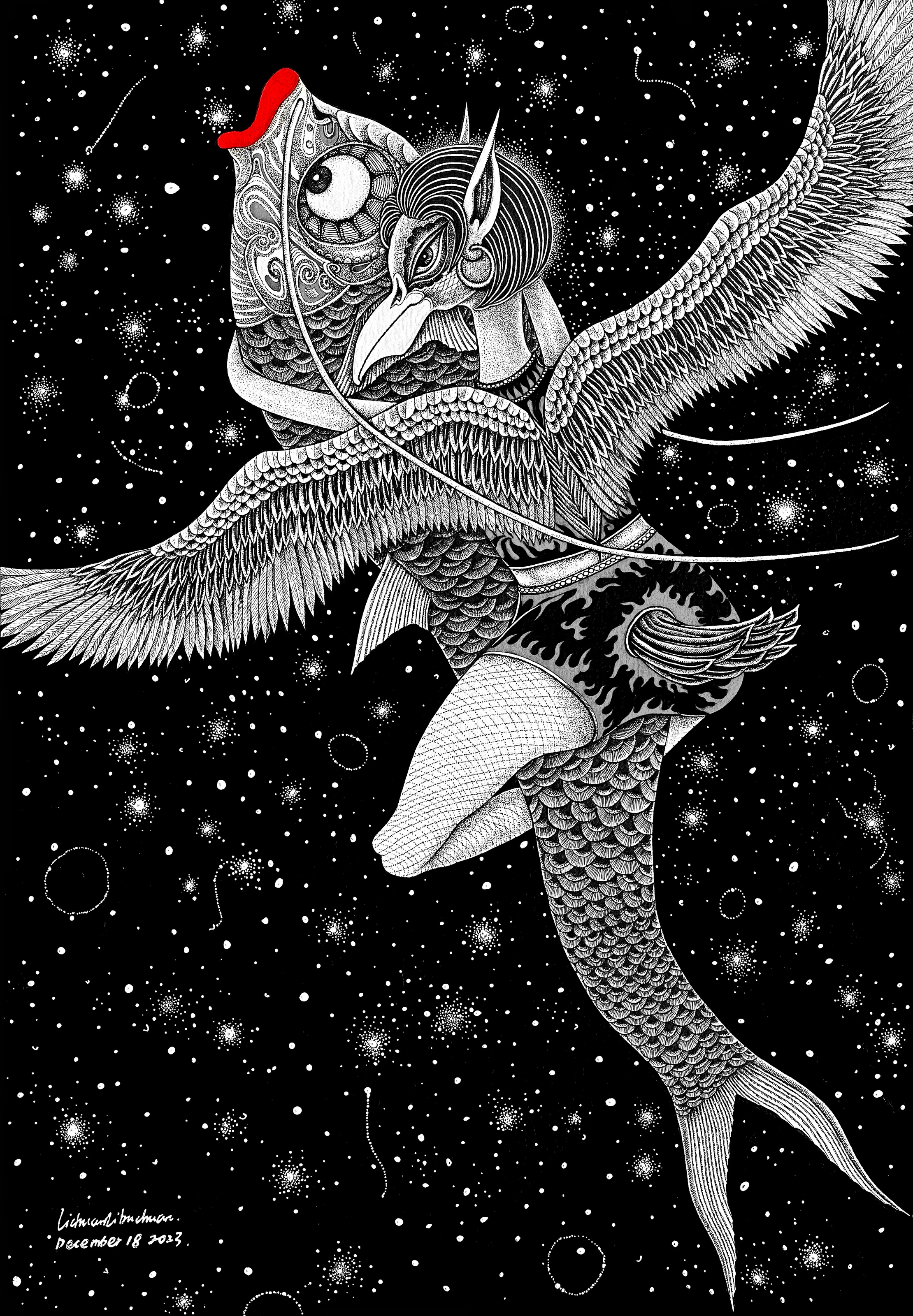 星空下的山海经•飞鸟与鱼