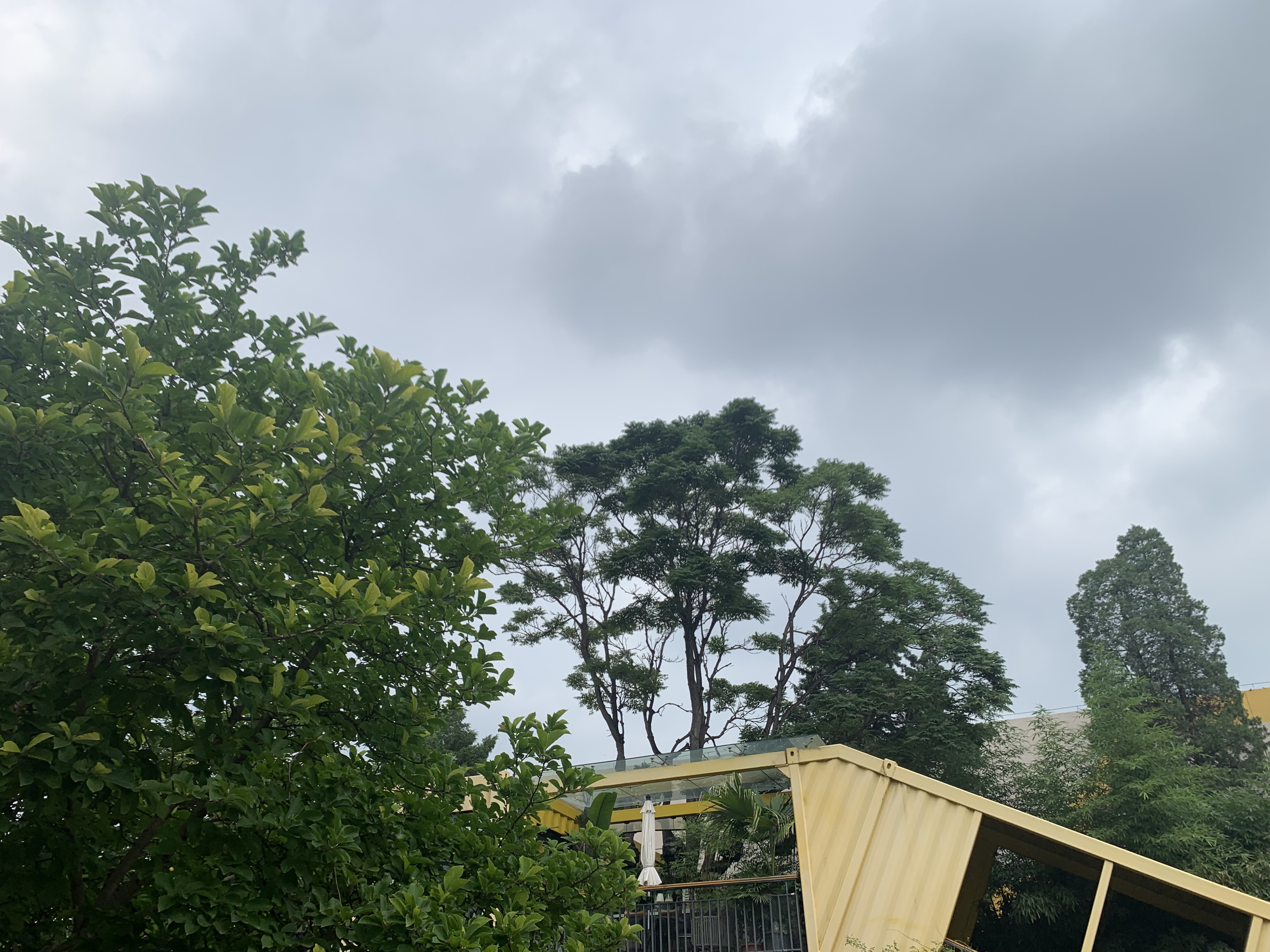 午后集装箱系列