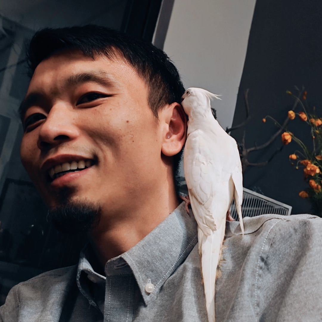 晓陆
