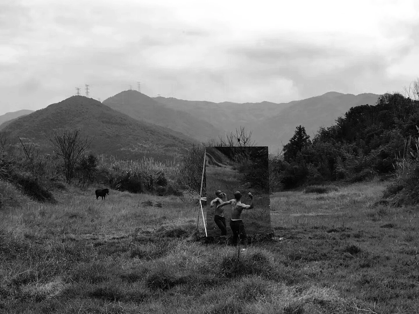 刘东东艺术官方旗舰店